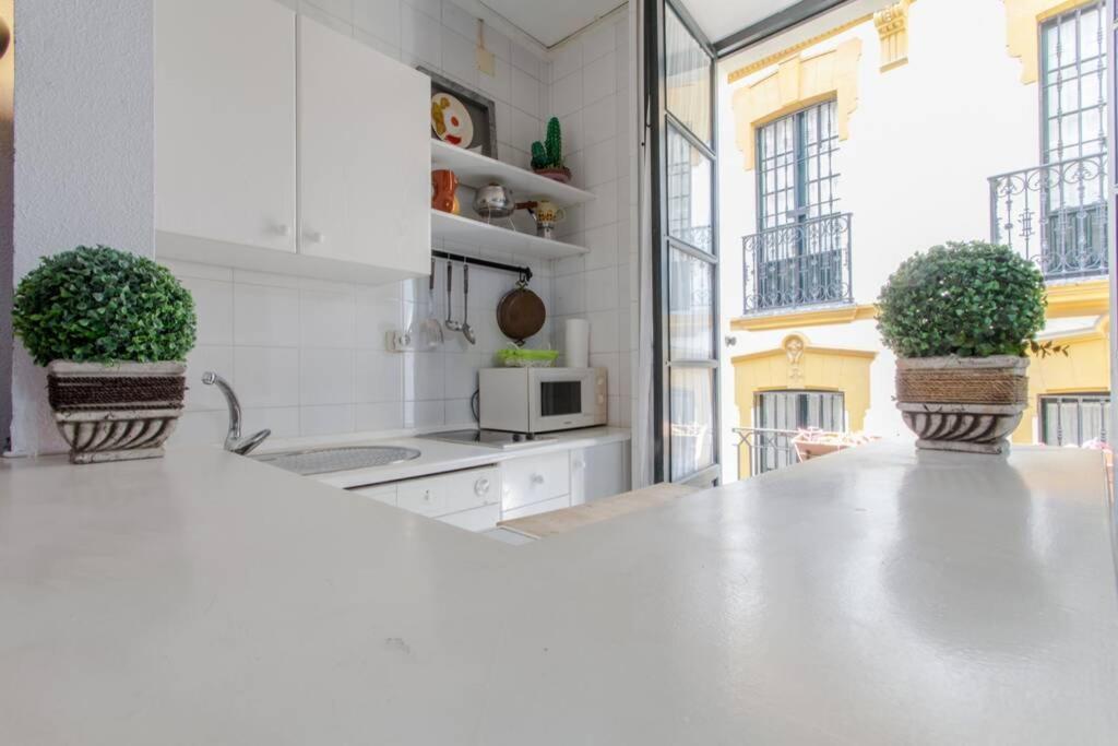Appartement Ubicacion Junto Catedral A Acond Y Wifi Séville