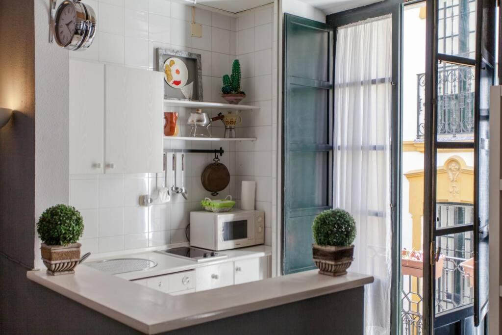 Appartement Ubicacion Junto Catedral A Acond Y Wifi Séville